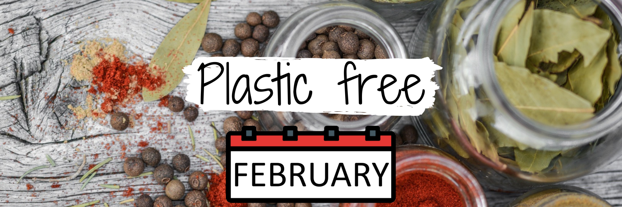 Plastic Free February_groot(1)