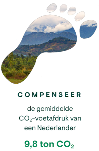 Compenseer 2025 website